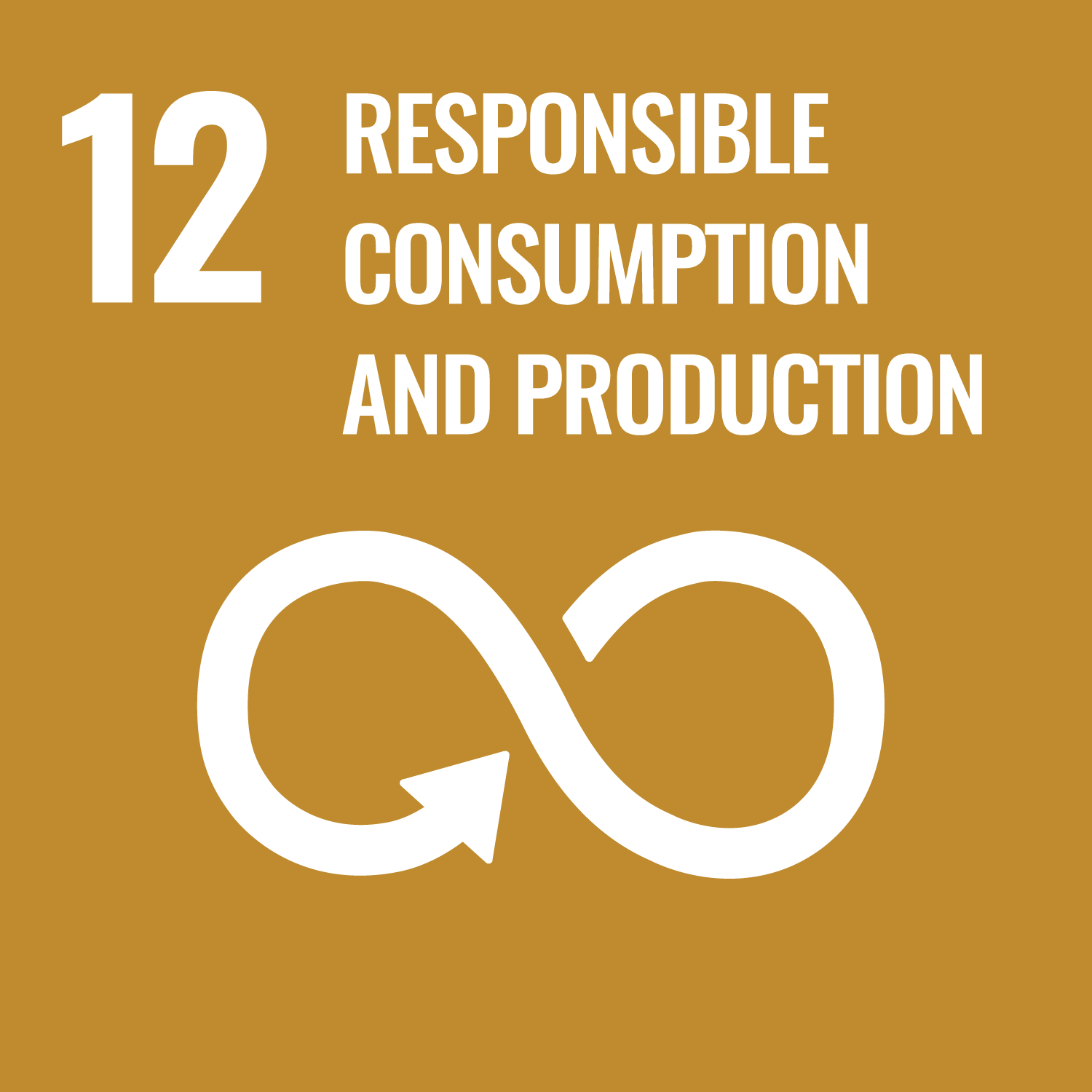 Goal ODS Responsible Consumption and Production